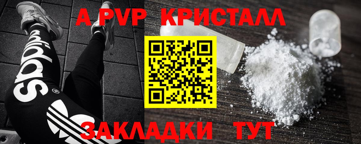 A PVP СК Североморск